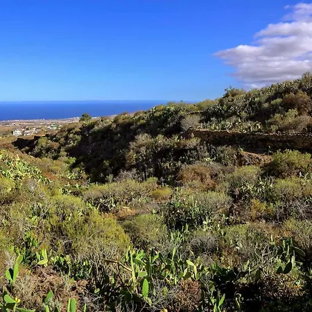 Rural Casa Blanca By Tenerife & Sales * Granadilla De Abona