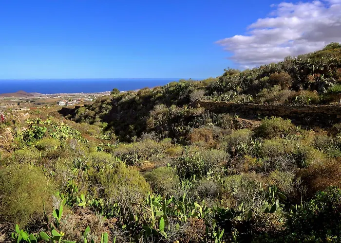 Rural Casa Blanca By Tenerife & Sales *